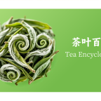 茶叶百科